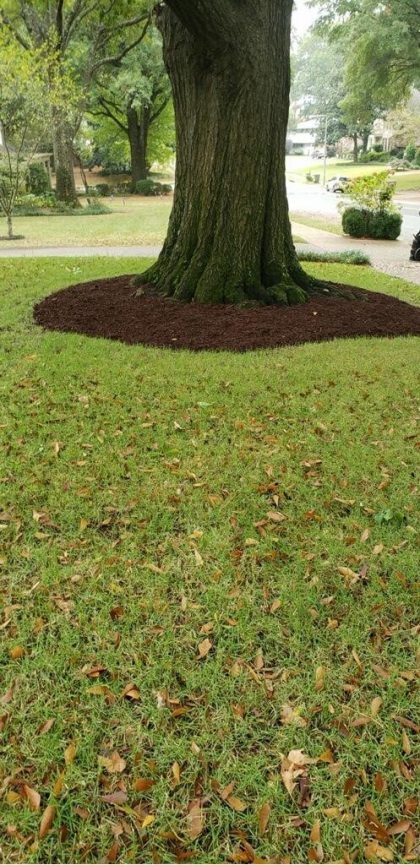 Painted Brown Mulch